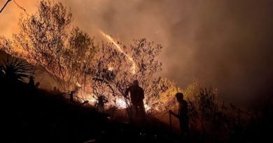 INCENDIOS FORESTALES: Procuraduría del Minam solicitará reparación civil a responsables