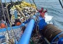 Empresas pesqueras temen que el fenómeno de El Niño las ponga en jaque