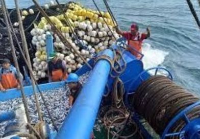 Empresas pesqueras temen que el fenómeno de El Niño las ponga en jaque