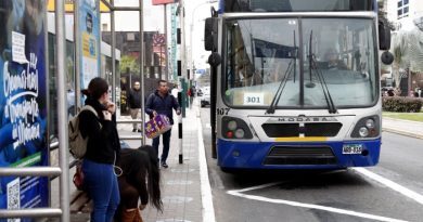 GOBIERNO: Más de 24,000 unidades de transporte público tendrán cámaras de vigilancia