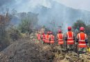 MINDEF MONITOREA Y ATIENDE 87 INCENDIOS FORESTALES EN 16 REGIONES DEL PAÍS