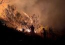 INCENDIOS FORESTALES: Procuraduría del Minam solicitará reparación civil a responsables