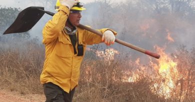 GOBIERNO PROPONE ENDURECER PENAS PARA AUTORES DE INCENDIOS FORESTALES