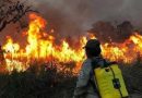 BOLIVIA: Decreta “desastre nacional” por incendios forestales