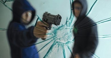 Estas son las medidas contempladas en el proyecto de delegación de facultades en materia de seguridad