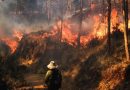 INCENDIOS FORESTALES: Gobierno declaró estado de emergencia en Lambayeque, Cajamarca y Huánuco