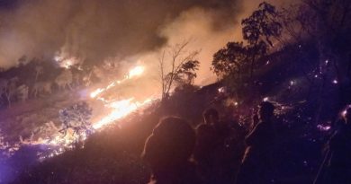 GOBIERNO DECLARA EN EMERGENCIA TRES REGIONES POR INCENDIOS FORESTALES