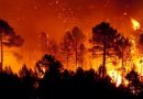 INCENDIOS FORESTALES: Ucayali, Loreto y Huánuco en el Ojo de la Tormenta