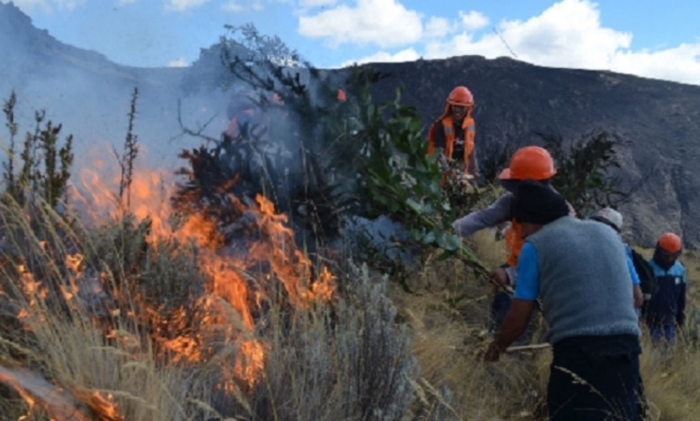 SERFOR: Crecen los focos de calor en diversas regiones del Perú – El primer periódico digital del Perú – Guik