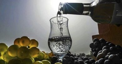 El pisco peruano se abre paso en el mercado argentino