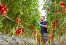 AGROEXPORTACIÓN: El aporte a la seguridad alimentaria global de Bayer en el Perú