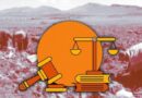 OPINIÓN/ ¿Hasta cuándo el BETA, que destruye el empleo formal agrario?