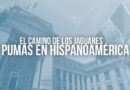 OPINIÓN/ El camino de los jaguares y pumas en Hispanoamérica