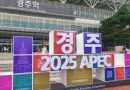 APEC 2025: Ministra Teresa Mera liderará delegación peruana en Corea del Sur