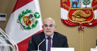 GOBIERNO: Solicitó facultades legislativas en materia de seguridad ciudadana