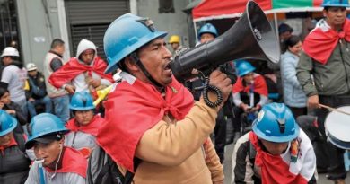 AMPLIACIÓN REINFO: Congresista afirma «el Ejecutivo es cómplice de esto con su silencio»