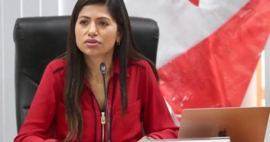 REINFO HASTA EL 2027: Congresista Gonzales afirma «la bancada de José Jerí votó a favor»