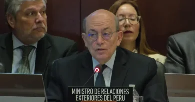 OEA: Perú propone que los Estados realicen un profundo análisis antes de conceder el asilo