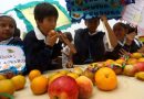 PROYECTO DE LEY: Incorpora nutricionista en escuelas del país beneficiará a la población escolar