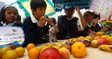 PROYECTO DE LEY: Incorpora nutricionista en escuelas del país beneficiará a la población escolar