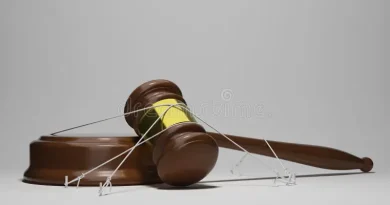 OPINIÓN/ESTADO INDEFENSO