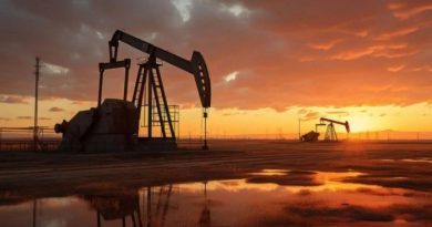 SPH: Gobierno interino a garantizar estabilidad y predictibilidad para inversiones