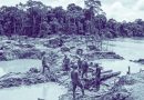 OPINIÓN/ La minería ilegal como una de las peores amenazas al futuro del Perú