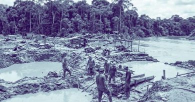 OPINIÓN/ La minería ilegal como una de las peores amenazas al futuro del Perú