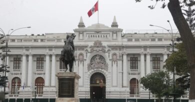 F-16:  Comisión de Defensa abordará este lunes proceso de compra de aviones para la FAP