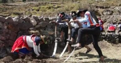 MIDAGRI: Productores agrarios  cuentan con Seguro Agrícola Catastrófico: S/ 1,000 por hectárea