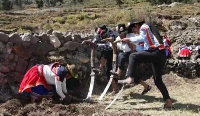 MIDAGRI: Productores agrarios  cuentan con Seguro Agrícola Catastrófico: S/ 1,000 por hectárea
