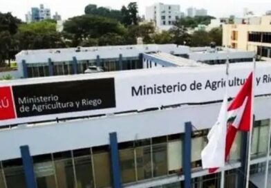 GOBIERNO: Declaró en reorganización Ministerio de Desarrollo Agrario y Riego