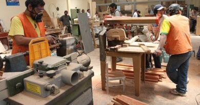PERÚ: Cuenta con más de 198 mil micro y pequeñas empresas industriales formales
