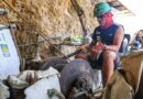 MINEM: Nueva Ley Mape y creación de Formape ordenarán y consolidarán minería a pequeña escala