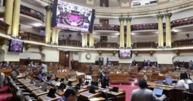 DIPUTADOS: Tras larga jornada de debate aprueban otorgar facultades legislativas solo para seguridad y El Niño