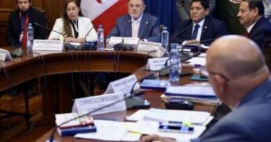 SENADO: Comisión aprobó delegar facultades al Ejecutivo por 90 días en 27 puntos