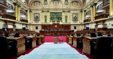 Opinión/triunfo pírrico del gobierno: el obstruccionismo del Congreso ganó.
