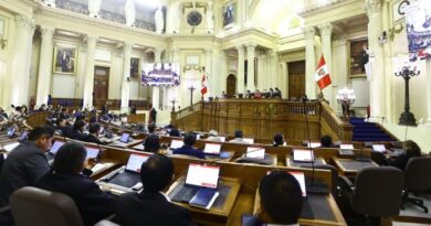 ZUMAETA:  Plantea que facultades se debatan directamente en el Pleno del Senado
